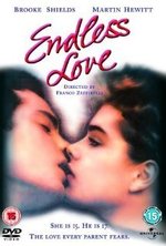 Endlose Liebe poster