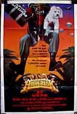 High Risk poster