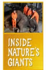 Смотреть Inside Nature's Giants онлайн бесплатно.