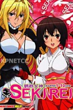Watch Sekirei online free.
