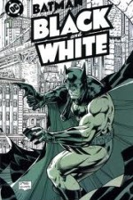 Watch Batman: Black and White online free.