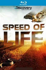 Смотреть Speed of Life онлайн бесплатно.