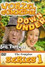 Worzel Gummidge Down Under poster